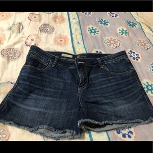 Kut from the Kloth gidget